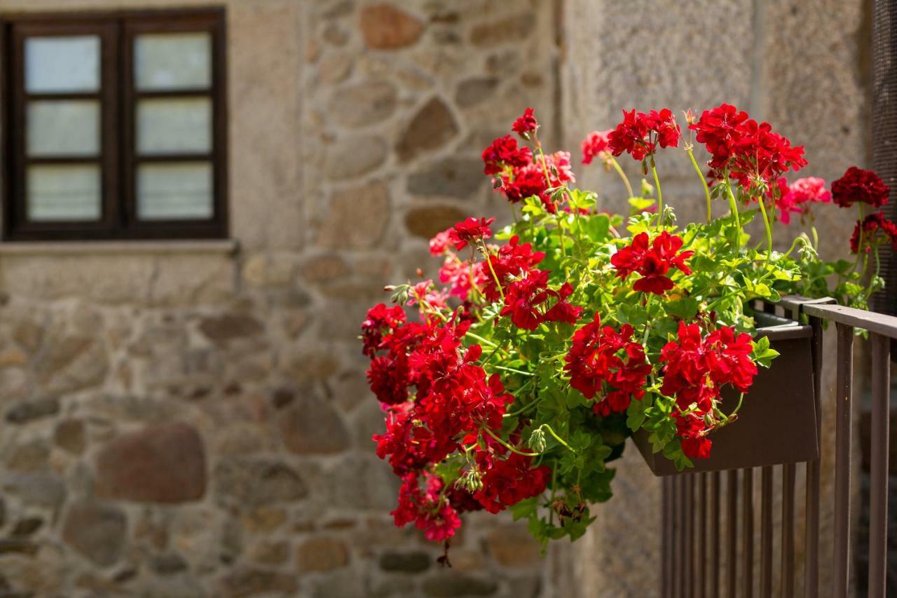 Casa Do Sobrado Hotel Vila Real Exterior photo